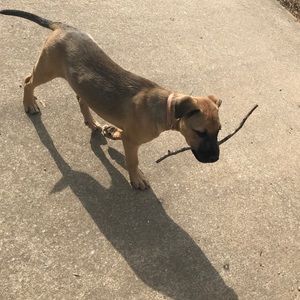 Meet your Posher, Jade